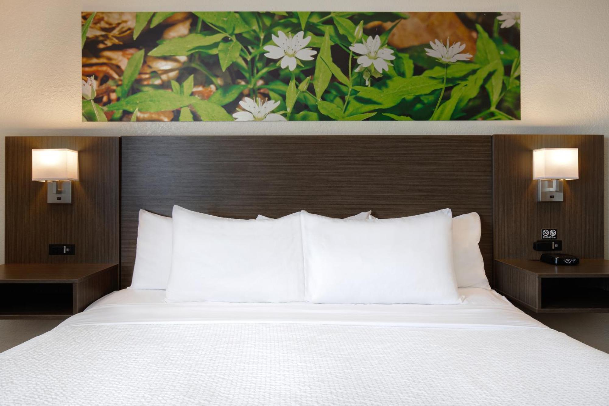 Days Inn & Conference Centre By Wyndham プリンス・アルバート エクステリア 写真